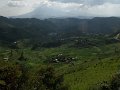 543 531 IMGP2140